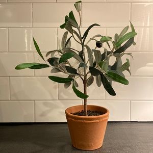 Hearth & Hand with Magnolia Small Faux Olive Branch Plant